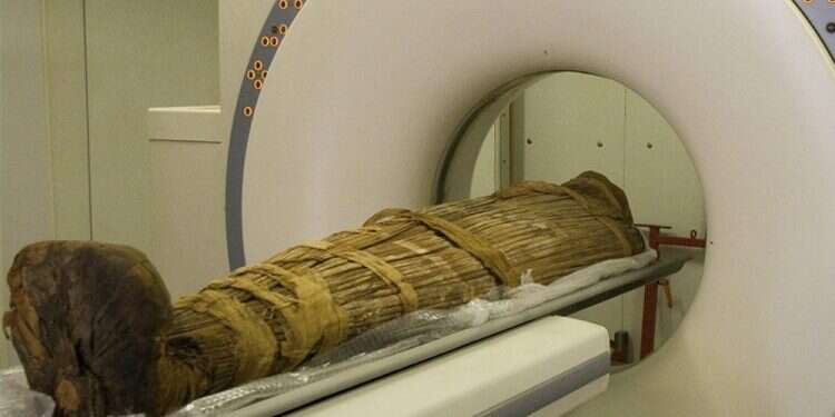 Scientists Bring Back Voice Of Year Old Egyptian Mummy