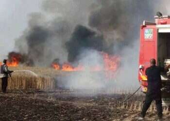 Israeli farmers powerless in face of Palestinian incendiary kite terror