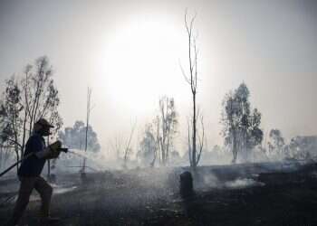 As fields burn, IDF mulls using drones against incendiary kites