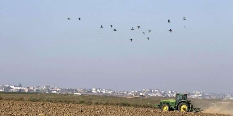 In response to Hamas aggression, Israel to build new Gaza-adjacent town