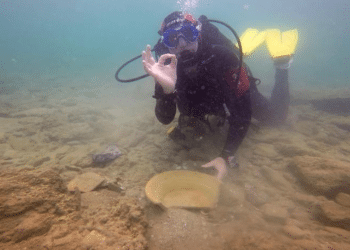 Underwater antiquities make way for Israel's Leviathan pipeline