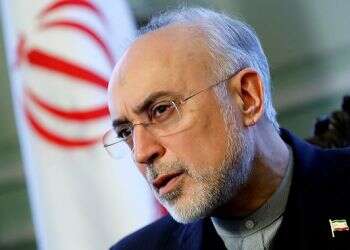 Iran's patience with EU is running thin, nuclear chief warns