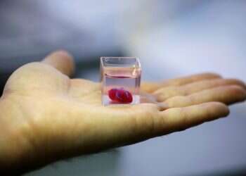 Israeli scientists say they 3D-printed a heart