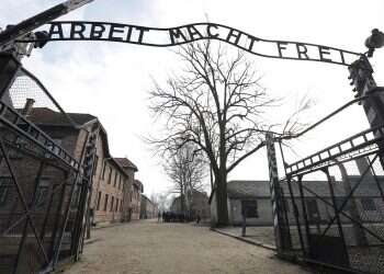 Social media users under age 30 mostly ignore Holocaust