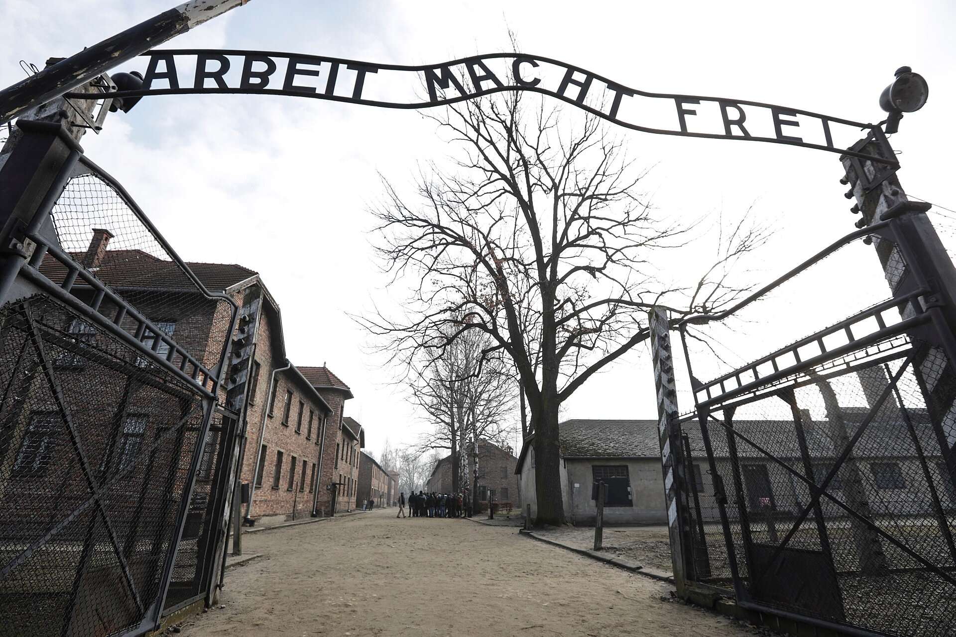 Social media users under age 30 mostly ignore Holocaust 