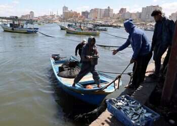 Israel reopens fishing zone off Gaza's coast after truce