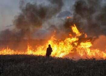 Israel reduces Gaza fishing zone in response to launching of arson balloons