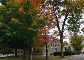 Anti-Israel panel at UMass to go ahead as scheduled