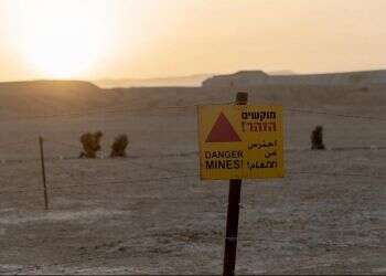 IDF working to rid Jordan Valley of landmines 