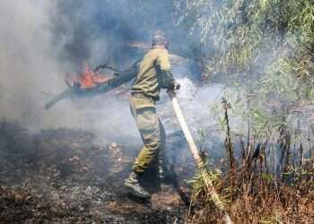 Despite reported Hamas cease-fire, arson balloons spark 14 fires