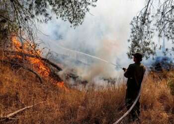 Arson balloons from Gaza cause record wildfires in southern Israel