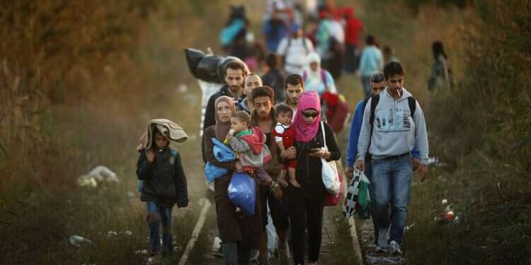 EU envoys seek insights from Israel on coping with migrant crisis