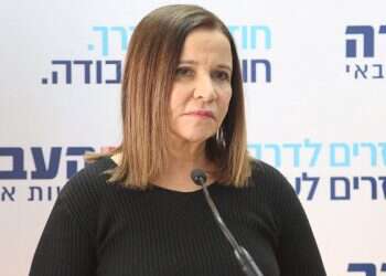 Labor MK Shelly Yachimovich to exit politics