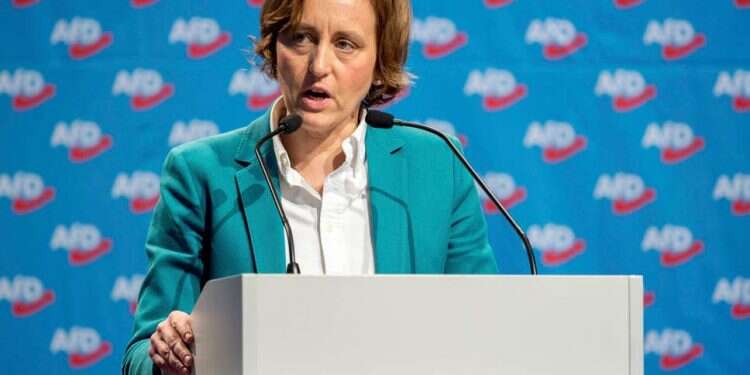 Germany's AfD red-faced over Israeli brawl mix-up