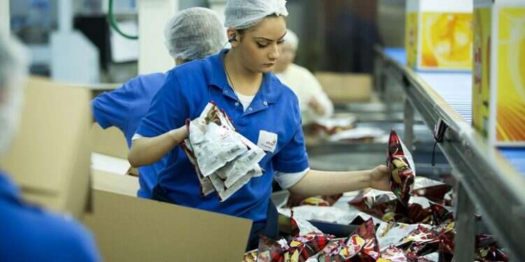 Report: Employment rate in Israel is higher than the OECD average