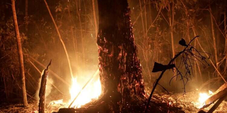 G-7 to release emergency aid for Amazon forest fire catastrophe
