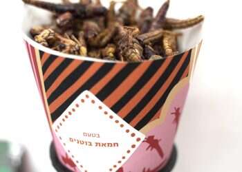 Are kosher grasshopper snacks the next big delicacy?