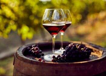 Government toasts wine as way to export Israeli culture, identity abroad