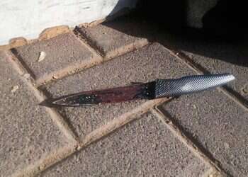 Security forces thwart stabbing attack near Ariel