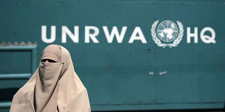New Zealand decides to suspend funding to UNRWA