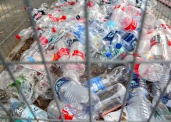 Israel to invest 30M shekels in new plastic recycling technologies