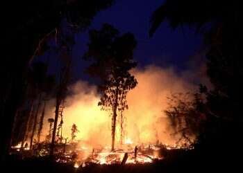 Israel sends firefighters to help Brazil battle Amazon fires