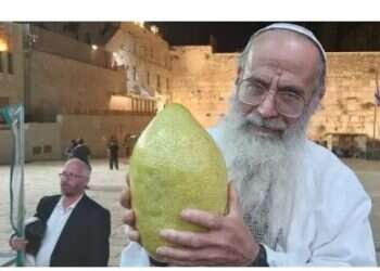 Giant mutant etrog causes wonder at Western Wall