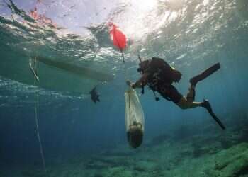 3 ancient shipwrecks discovered off Aegean island of Kasos