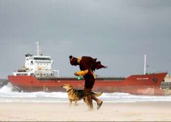 Storm beaches merchant ship near southern Israeli port