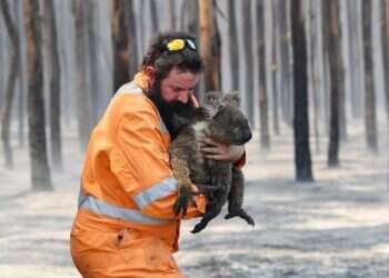 Jerusalem zoo sends aid to animals injured in Australia fires