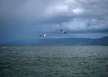 For the first time in 17 years, Sea of Galilee is nearly full