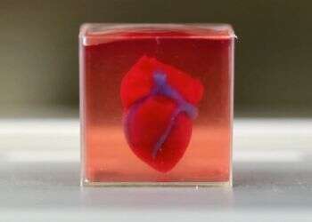 Bayer, Tel Aviv University partner to test drugs on 3D-printed human heart tissues