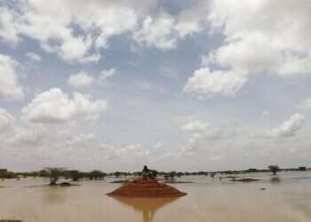 More than 200,000 displaced by floods in South Sudan