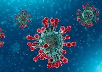 WHO warns coronavirus may bounce back