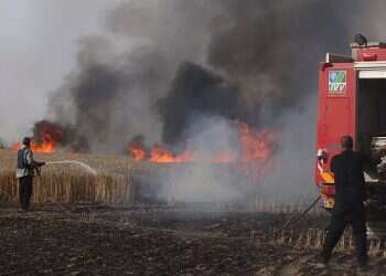 Incendiary balloons spark dozens of fires in southern Israel