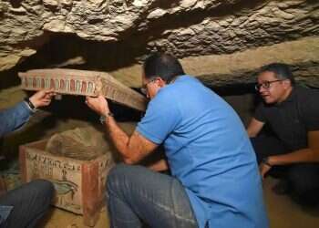 Another trove of coffins dug up at Egypt's Saqqara necropolis