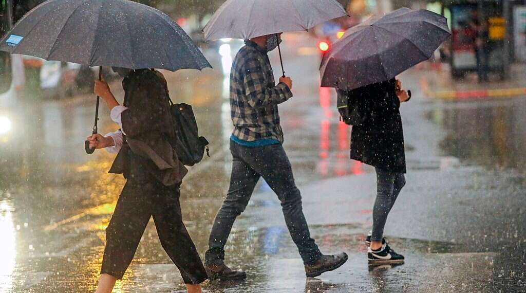 Coastal Israel drenched by heaviest November rainfall in 26 years - www ...