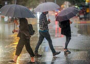 Coastal Israel drenched by heaviest November rainfall in 26 years