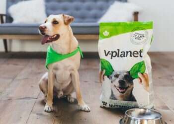 Vegan doggie kibble now available in Asia