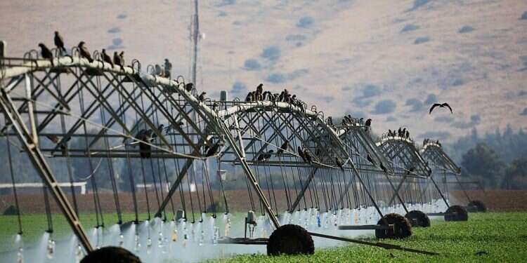 Israel, India pursue joint water, irrigation ventures