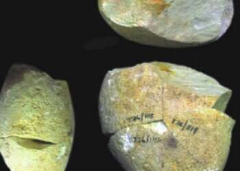 Tool pre-dating modern humans identified in northern Israel