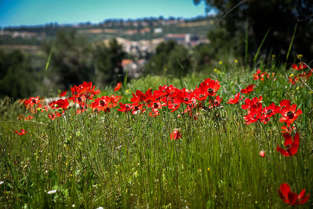 Weizmann Institute researchers: Hormones ebb and flow with seasons ...