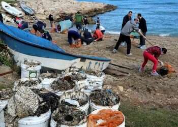 'It could take decades to rehabilitate Israel's beaches'