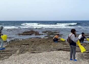 Israel: Tanker owned by Syrian family responsible for recent oil spill