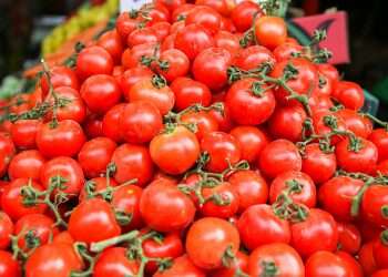 Desert tomatoes: UAE agro-tech startup raises $50M in Islamic bonds