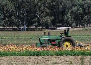 Border Police to tackle agricultural crime costing Israel $7 million a year