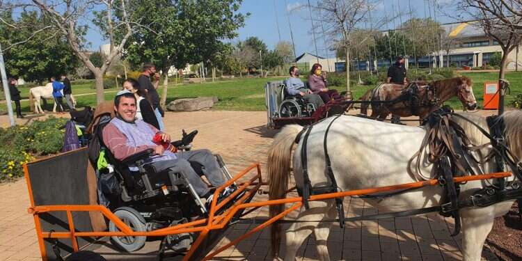 With restrictions lifted, disabled community finally able to get much-needed outing