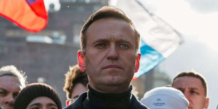 Standing up for Navalny, in Hebrew