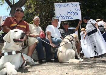 Paws to consider: HaPoel Tel Aviv wants to allow guide dogs at Bloomfield