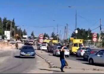 Attempted stabbing attack thwarted in Gush Etzion